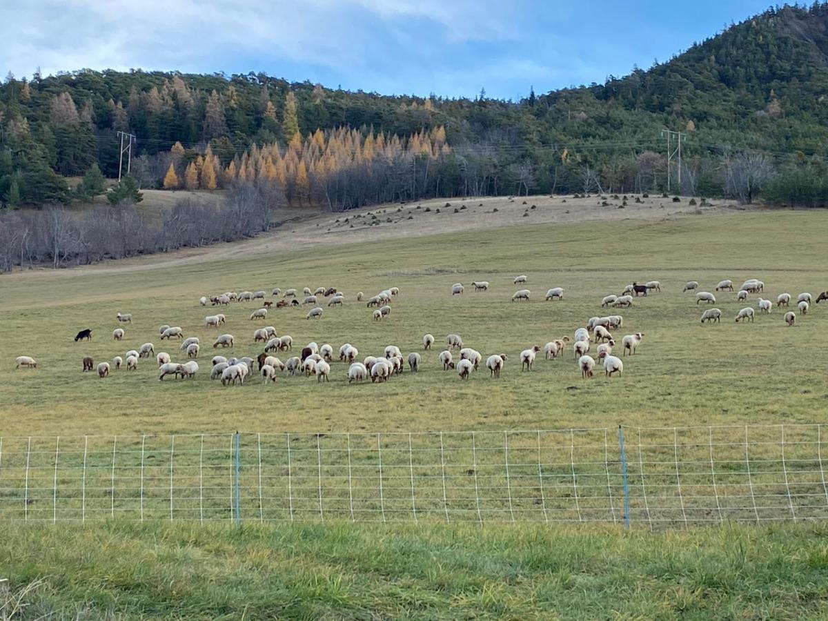 Superbe Ferme Renovee En Chalet De Luxe En Pleine Nature Barcelonnette Zewnętrze zdjęcie
